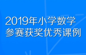 2019年小学数学参赛获奖优秀课例课堂教学实录