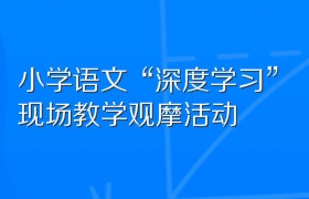 小学语文“深度学习”现场教学观摩活动