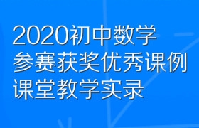 初中数学参赛获奖优秀课例课堂教学实录