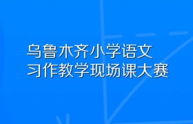 乌鲁木齐小学语文习作教学现场课大赛