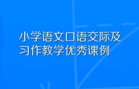 小学语文口语交际及习作教学优秀课例