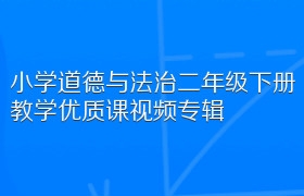 小学道德与法治二年级下册教学优质课视频专辑