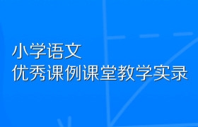 小学语文优秀课例课堂教学实录