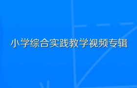 小学综合实践教学视频专辑 