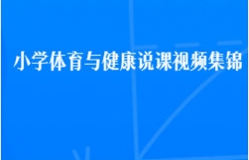 小学体育与健康说课视频集锦