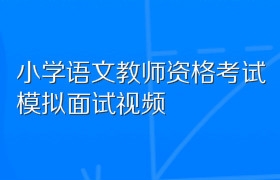 小学语文教师资格考试模拟面试视频