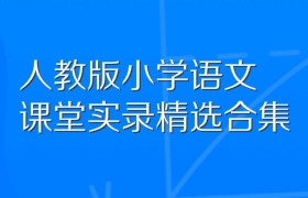 人教版小学语文课堂实录精选合集