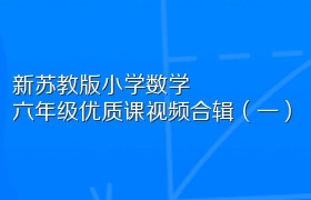 新苏教版小学数学六年级优质课视频合辑（一）