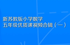 新苏教版小学数学五年级优质课视频合辑（一）