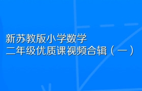 新苏教版小学数学二年级优质课视频合辑（一）