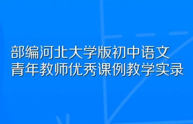 部编河北大学版初中语文青年教师优秀课例教学实录