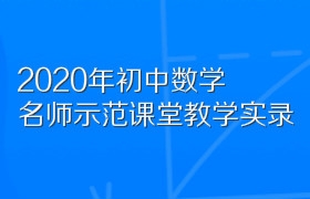 2020年初中数学名师示范课堂教学实录