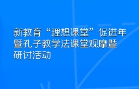 新教育“理想课堂”促进年暨孔子教学法课堂观摩暨研讨活动