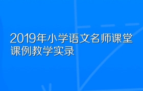 2019年小学语文名师课堂课例教学实录