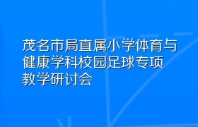 茂名市局直属小学体育与健康学科校园足球专项教学研讨会