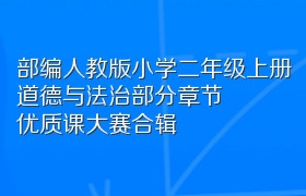 部编人教版小学二年级上册道德与法治部分章节优质课大赛合辑