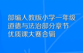 部编人教版小学一年级道德与法治部分章节优质课大赛合辑