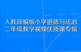 人教部编版小学道德与法治二年级教学视频优质课专辑