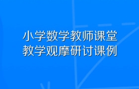 小学数学教师课堂教学观摩研讨课例 