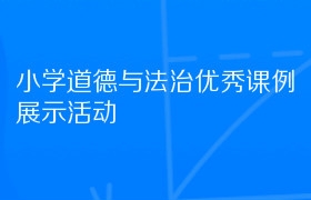 小学道德与法治优秀课例展示活动