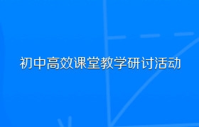 初中高效课堂教学研讨活动