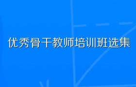 优秀骨干教师培训班选集