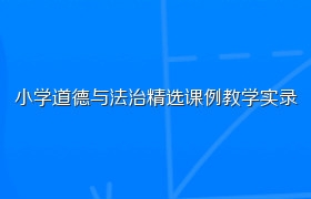 小学道德与法治精选课例教学实录