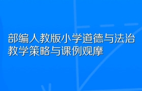 部编人教版小学道德与法治教学策略与课例观摩