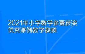 2021年小学数学参赛获奖优秀课例教学视频