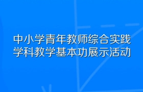 中小学青年教师综合实践学科教学基本功展示活动