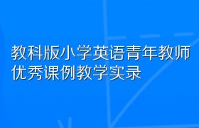 教科版小学英语青年教师优秀课例教学实录