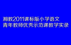 湘教2011课标版小学语文青年教师优秀示范课教学实录