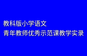 教科版小学语文青年教师优秀示范课教学实录