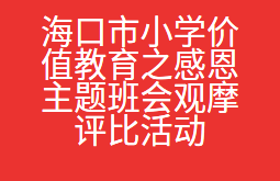 海口市小学价值教育之感恩主题班会观摩评比活动