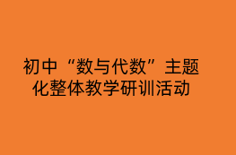 初中“数与代数”主题化整体教学研训活动