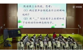 2023年临沂市小学语文优质课评比活动