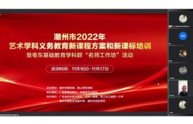 2022年艺术学科义务教育新课程方案和新课标培训